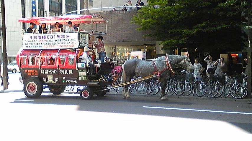 北海道　ラム　出張